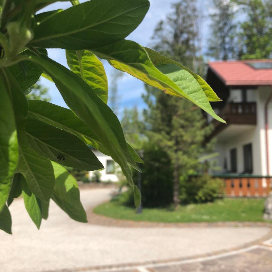Waldhaus Apartman Hinterstoder Kültér fotó